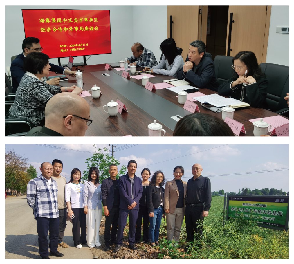 首页-PA真人集团有限公司官网