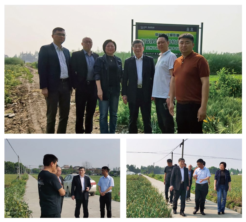 首页-PA真人集团有限公司官网