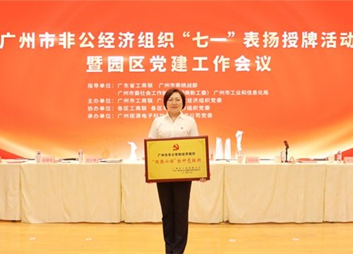 标杆引领，荣誉升级！集团党支部荣膺广州市非公有造经济组织“双强六好”标