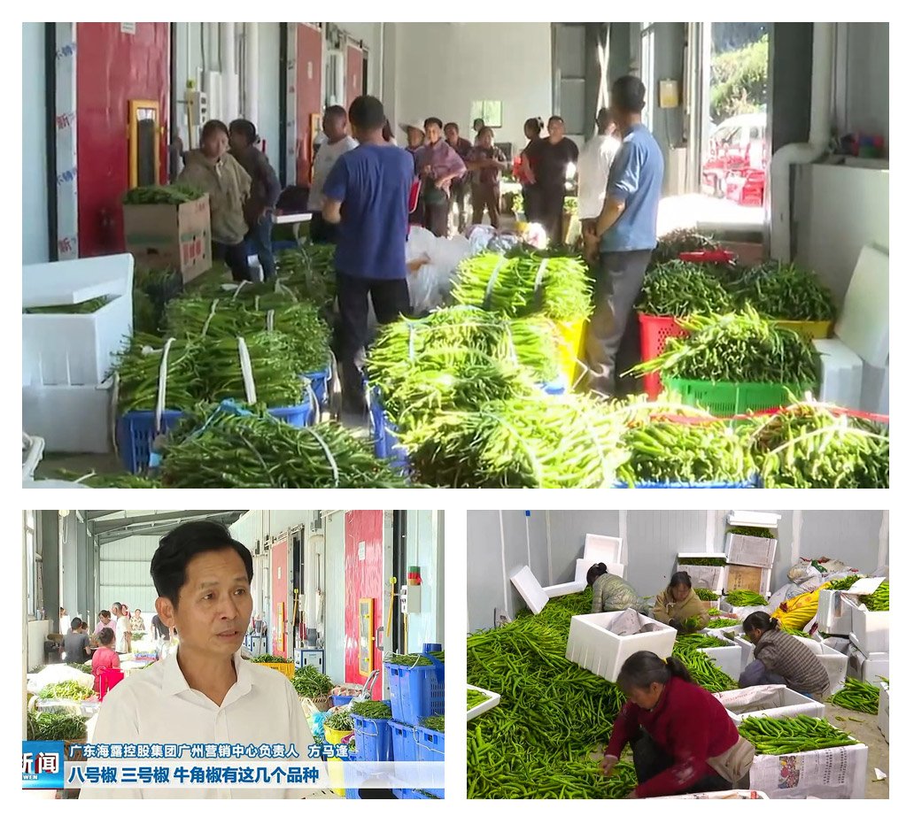 首页-PA真人集团有限公司官网