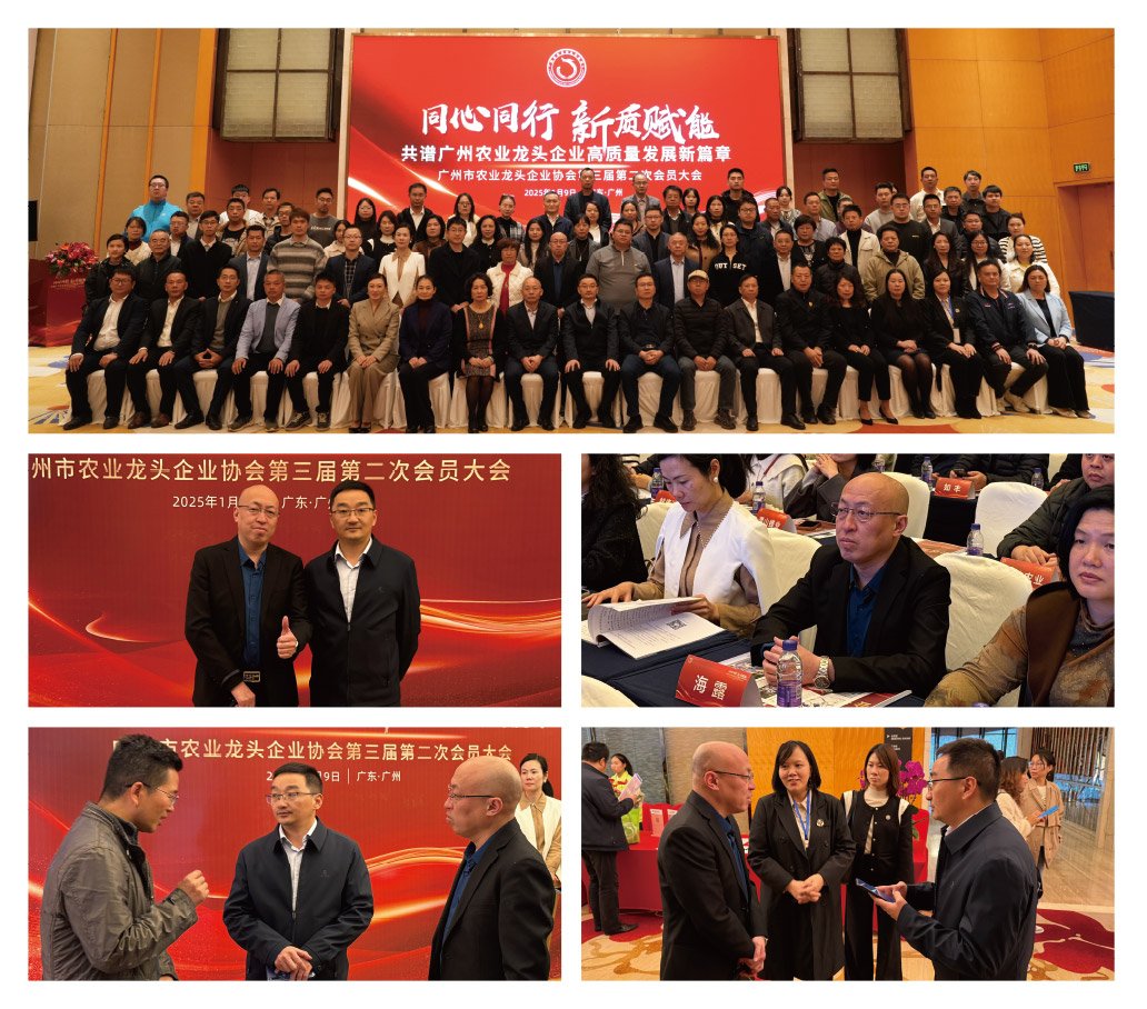 首页-PA真人集团有限公司官网