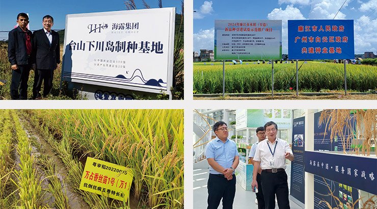 首页-PA真人集团有限公司官网