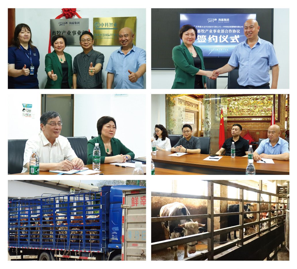 首页-PA真人集团有限公司官网