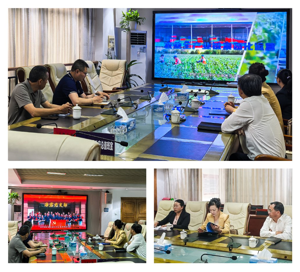 首页-PA真人集团有限公司官网