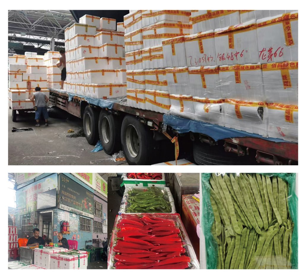 首页-PA真人集团有限公司官网