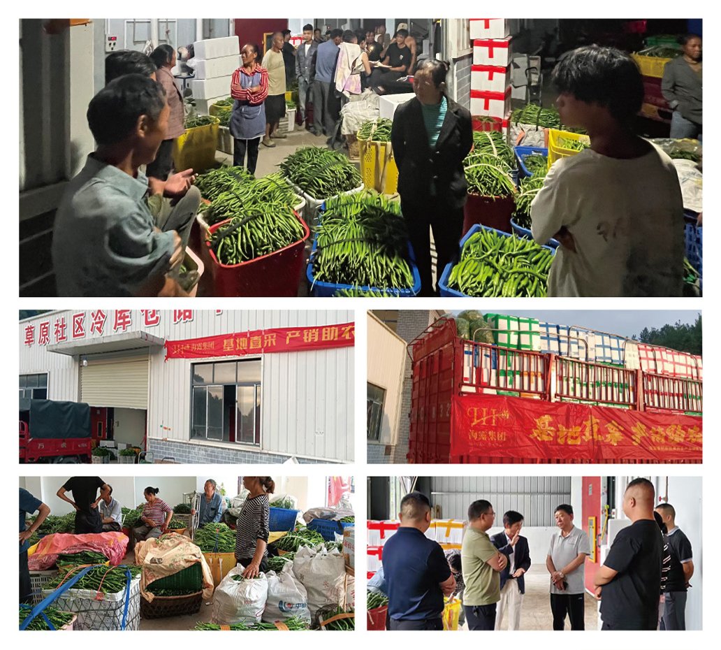 首页-PA真人集团有限公司官网