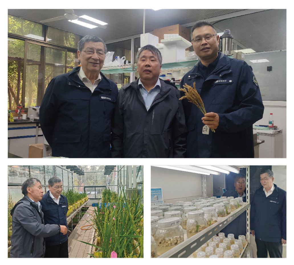 首页-PA真人集团有限公司官网